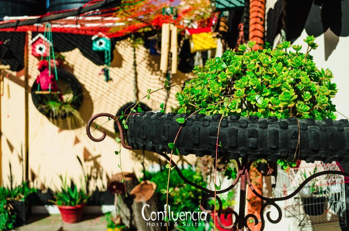 Hostal Confluencia Mendoza Exteriér fotografie